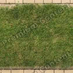 Seamless Grass